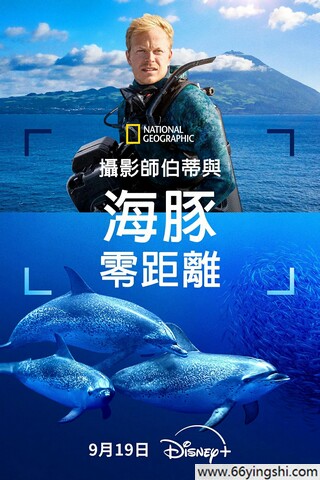 在线观看免费高清视频大全追剧 主视觉